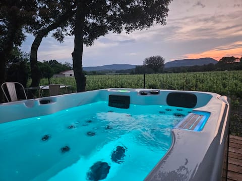 Gite Les Vignes, spa, vineyard view, nature, rest