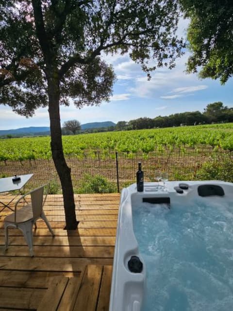 Gite Les Vignes, spa, vineyard views, nature, relaxation