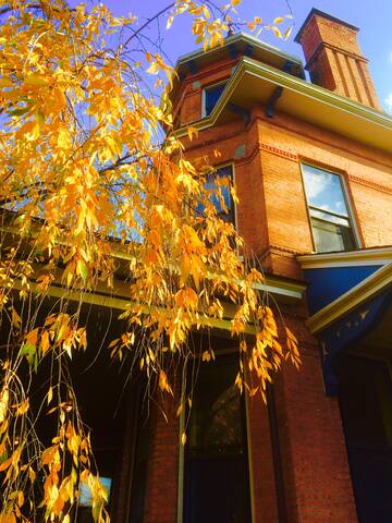 Mads Mansion -Victorian Mansion on Washington Park gallery image 3