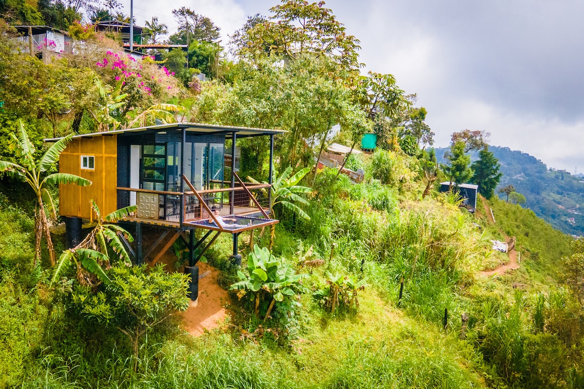 A modern cabin elevated on stilts is surrounded by lush greenery and tropical plants. Large glass doors provide expansive views of the landscape, while a deck extends outwards for outdoor relaxation. The hillside setting is complemented by distant mountain vistas.