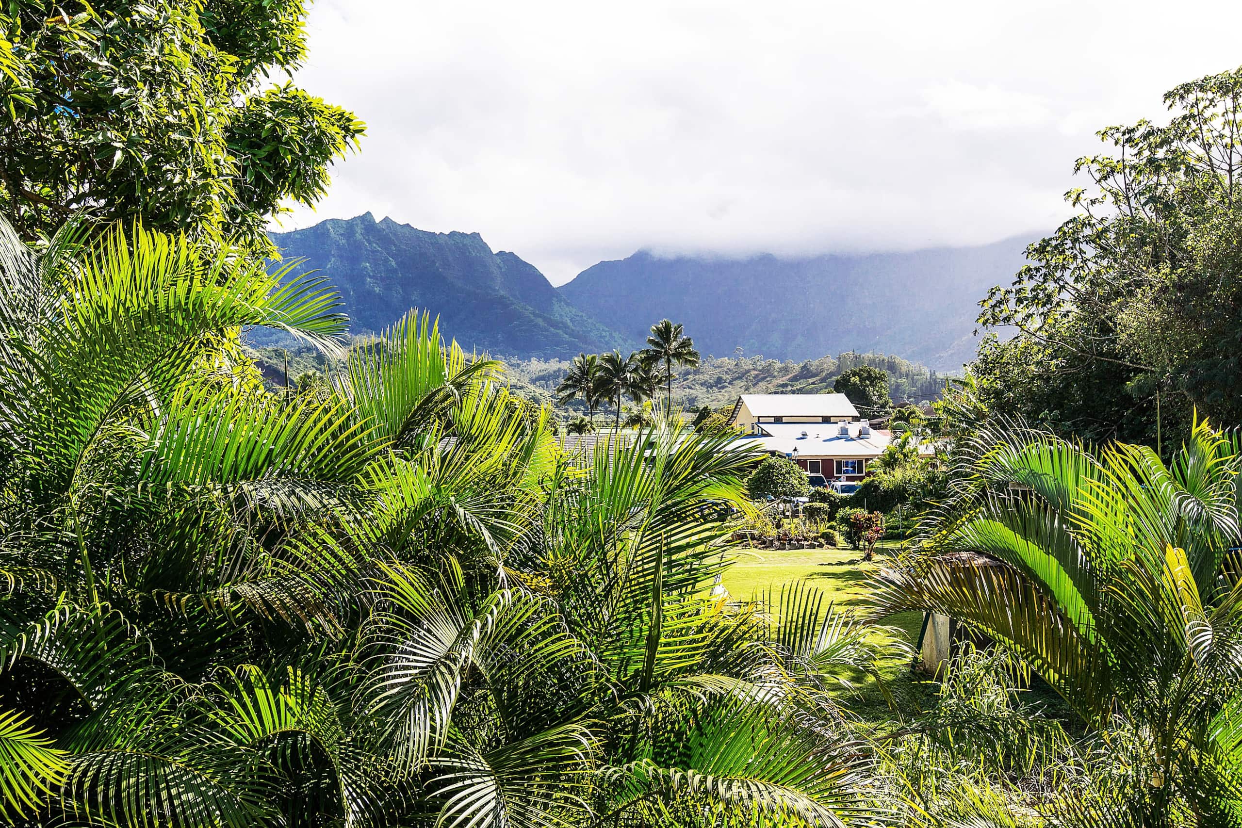Home in Hanalei · ★4.87 · 5 bedrooms · 6 beds · 2 private baths - Image 37