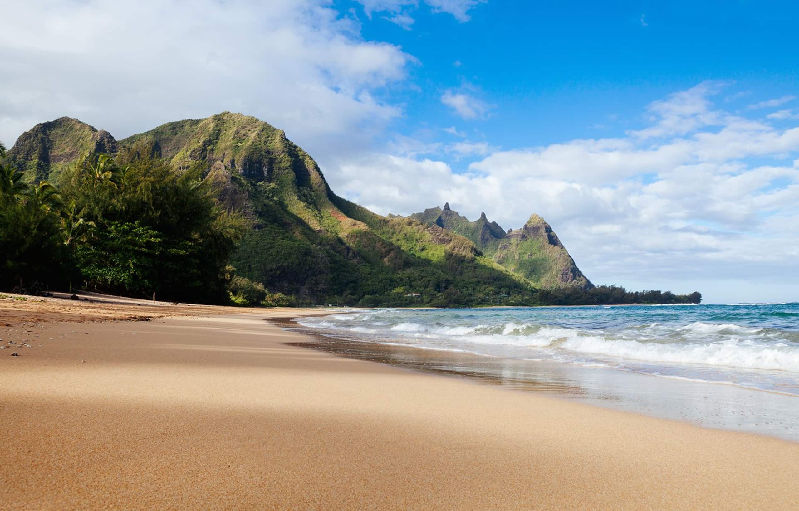 Home in Hanalei · ★4.87 · 5 bedrooms · 6 beds · 2 private baths - Image 42