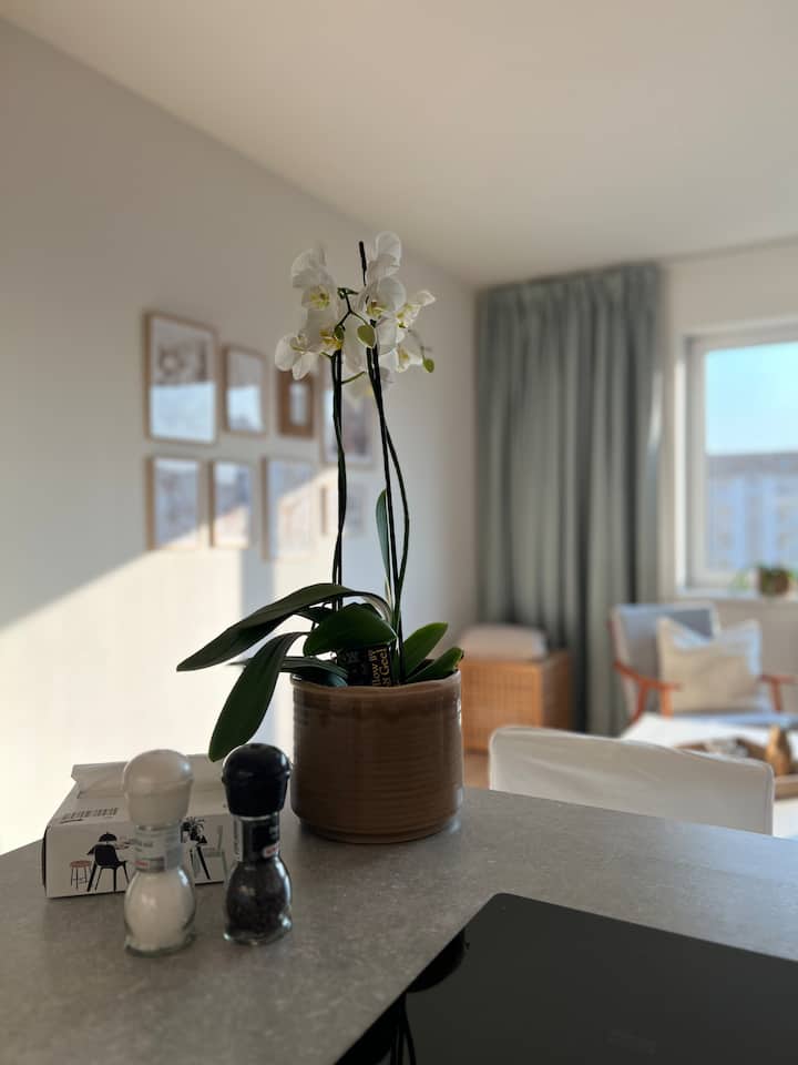 Sunny Apartment With Amazing View - Brno