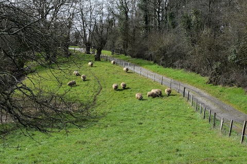 Goat farm lodge