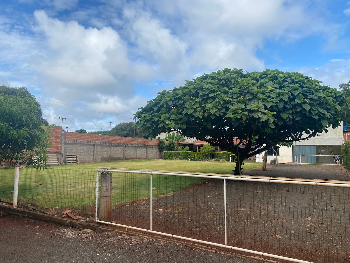 A large, leafy tree provides shade over a grassy area, enclosed by a white fence. The background features a brick wall and a building, against a backdrop of a blue sky with scattered clouds.