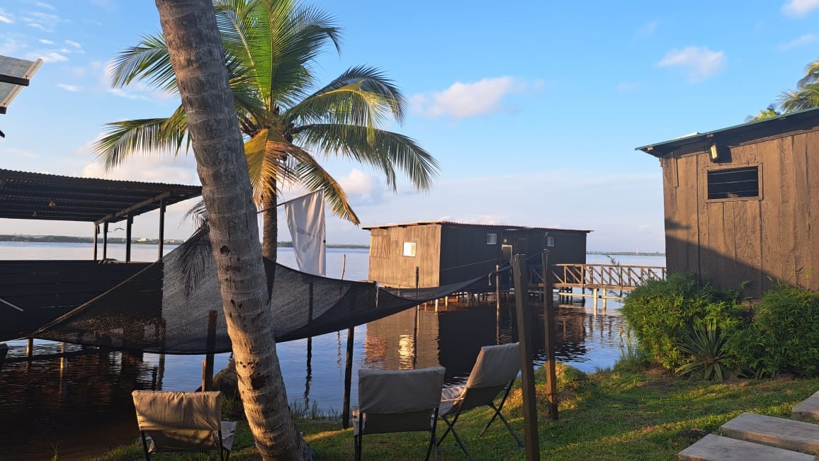 Two stilted wooden lodges are positioned along the water's edge, connected by a wooden walkway. A palm tree provides shade to the area, where two foldable chairs are visible on lush green grass. Soft sunlight illuminates the scene against a backdrop of clear blue sky.