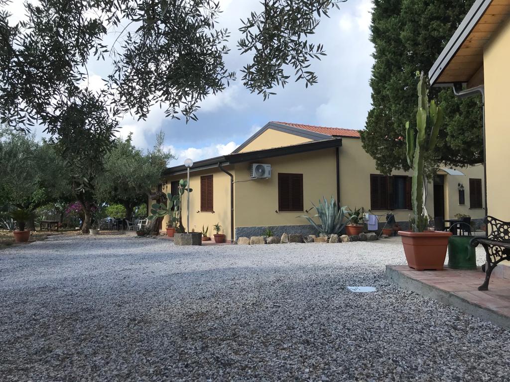 A well-maintained exterior view of the property shows a spacious area with gravel flooring. Surrounding plants, including cacti and ornamental trees, add greenery. The building is painted yellow, featuring multiple windows with brown shutters and air conditioning units.