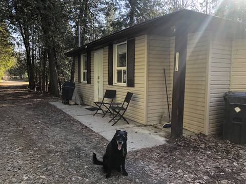 Two - YES 2 cozy cabins !