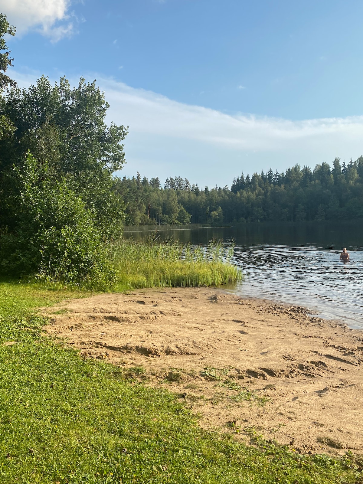 A sandy shore leads to a calm lake, surrounded by lush greenery and tall trees. Gentle waves can be seen at the water's edge, reflecting the clear blue sky. A swimming figure is visible in the distance, adding to the serene outdoor setting.