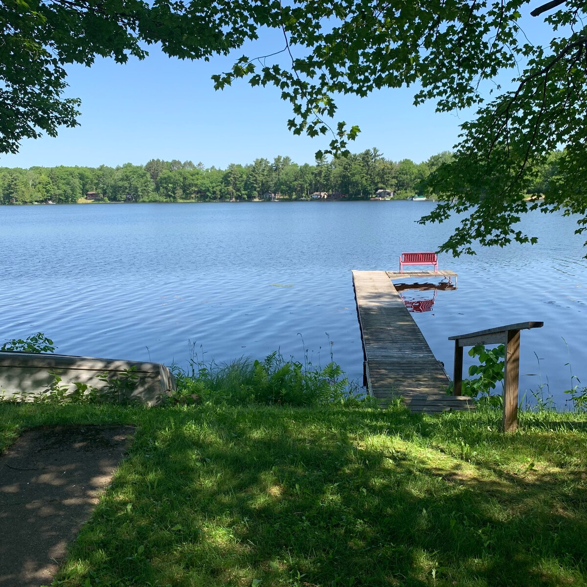 A wooden dock extends into the calm water of Tree Lake, featuring a red bench positioned at the end. Lush green trees frame the scene, with reflections of the surrounding nature visible on the water's surface.