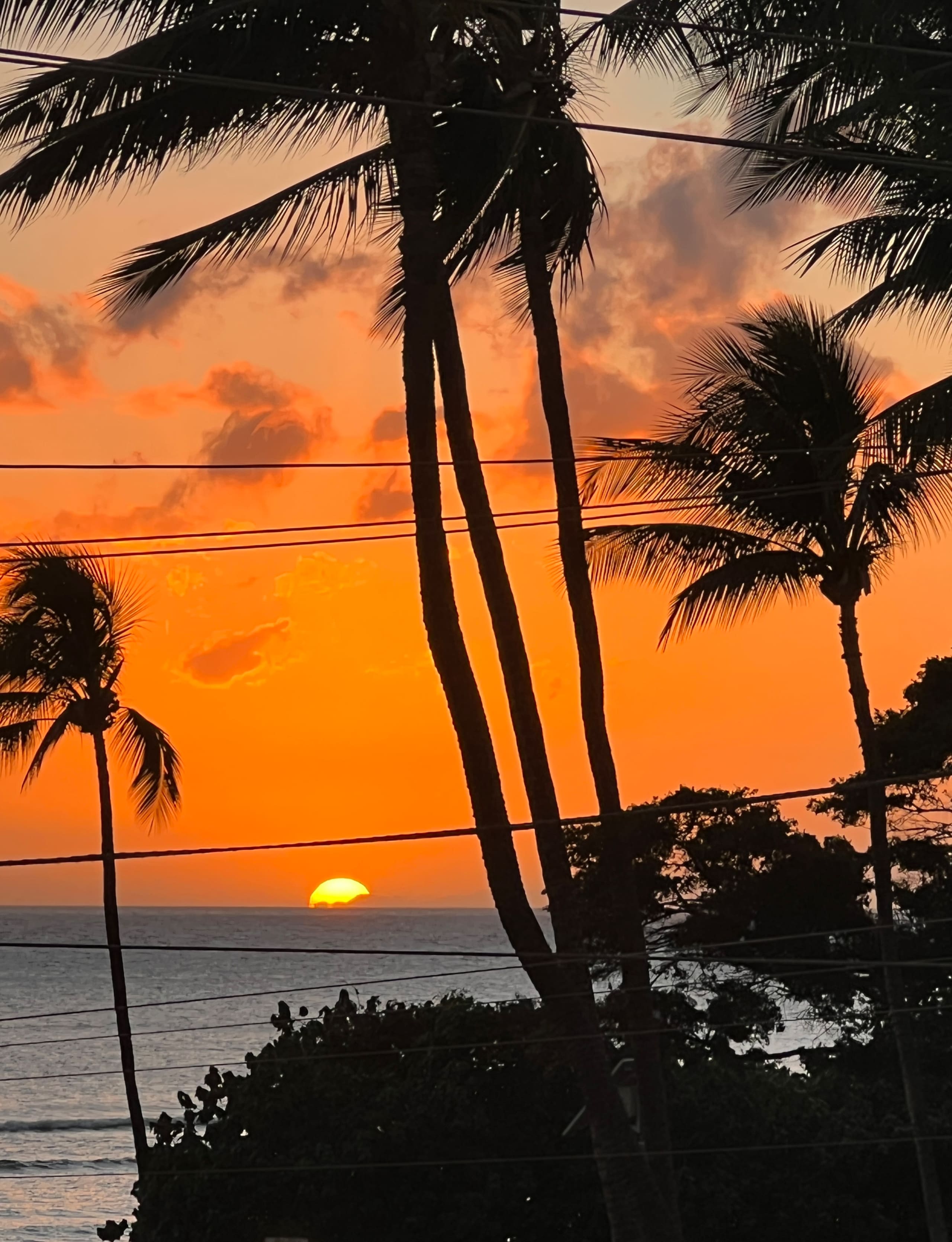 Condo in Kihei · ★4.94 · 1 bedroom · 1 bed · 1 private bath - Image 17