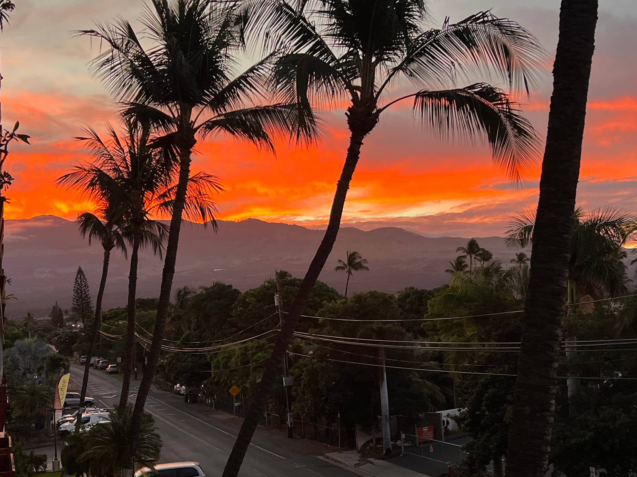 Condo in Kihei · ★4.94 · 1 bedroom · 1 bed · 1 private bath - Image 16