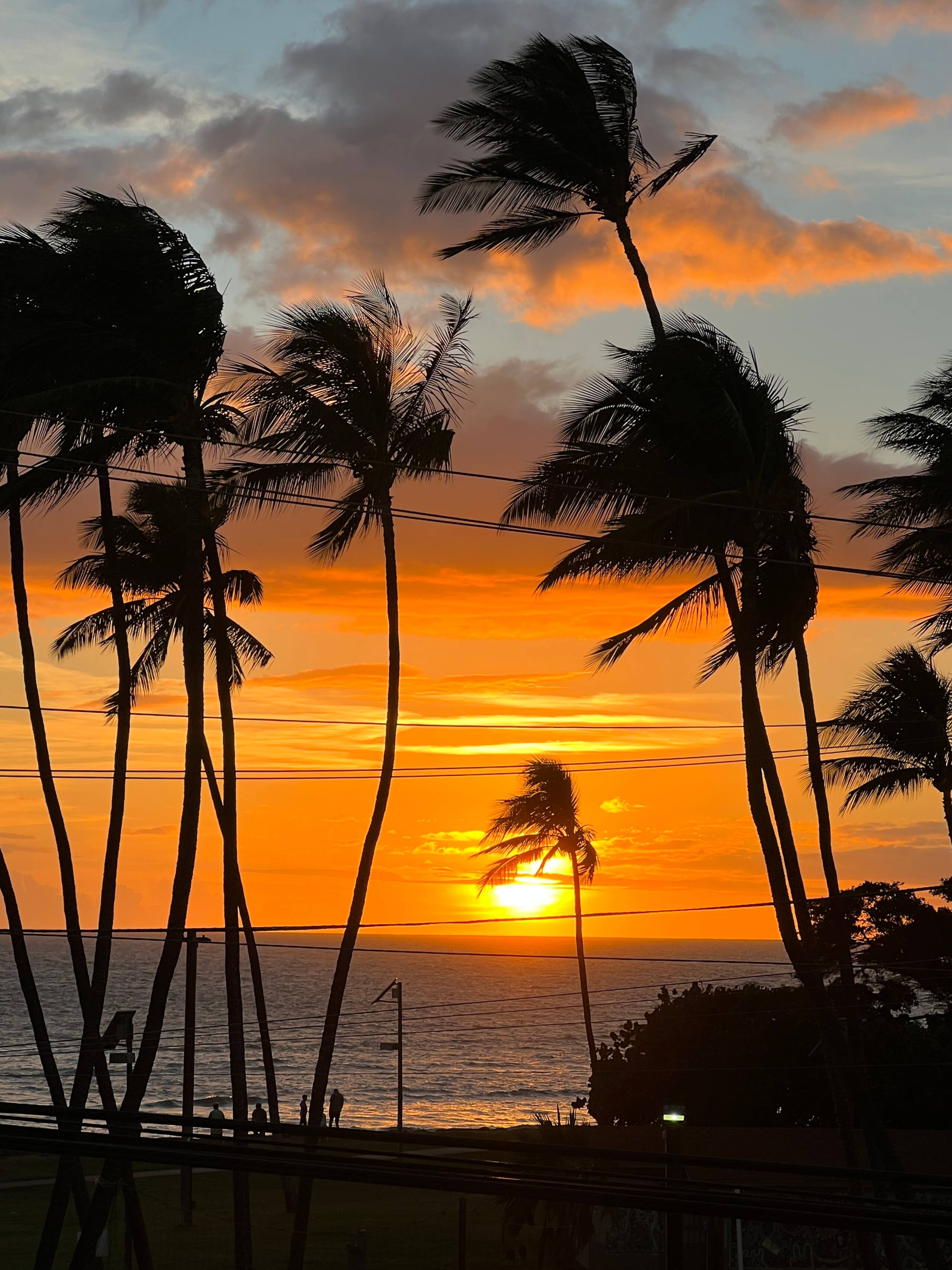 Condo in Kihei · ★4.94 · 1 bedroom · 1 bed · 1 private bath - Image 18