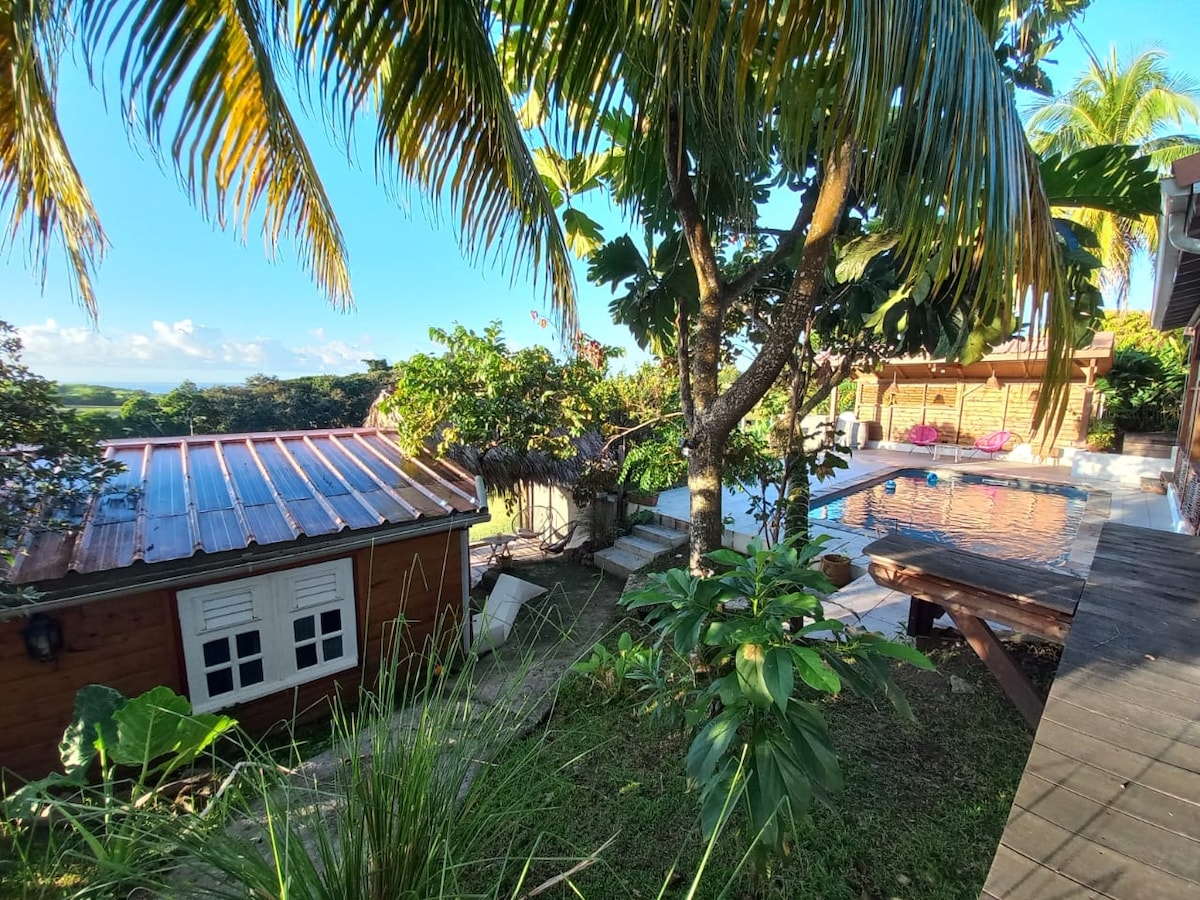 A serene outdoor space is presented, featuring a saltwater pool surrounded by greenery. Nearby, a wooden terrace offers seating, while tropical plants and palm trees enhance the natural ambiance. A traditional-style building and a carbet are visible, creating a harmonious blend with the environment.