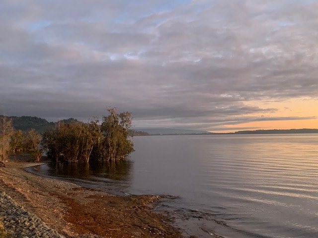 A serene lakeside view features calm waters reflecting a soft dawn light. Trees line the shore, and a rocky beach provides an open area for relaxation. Gentle ripples indicate a peaceful atmosphere, with distant hills visible beyond the lake.