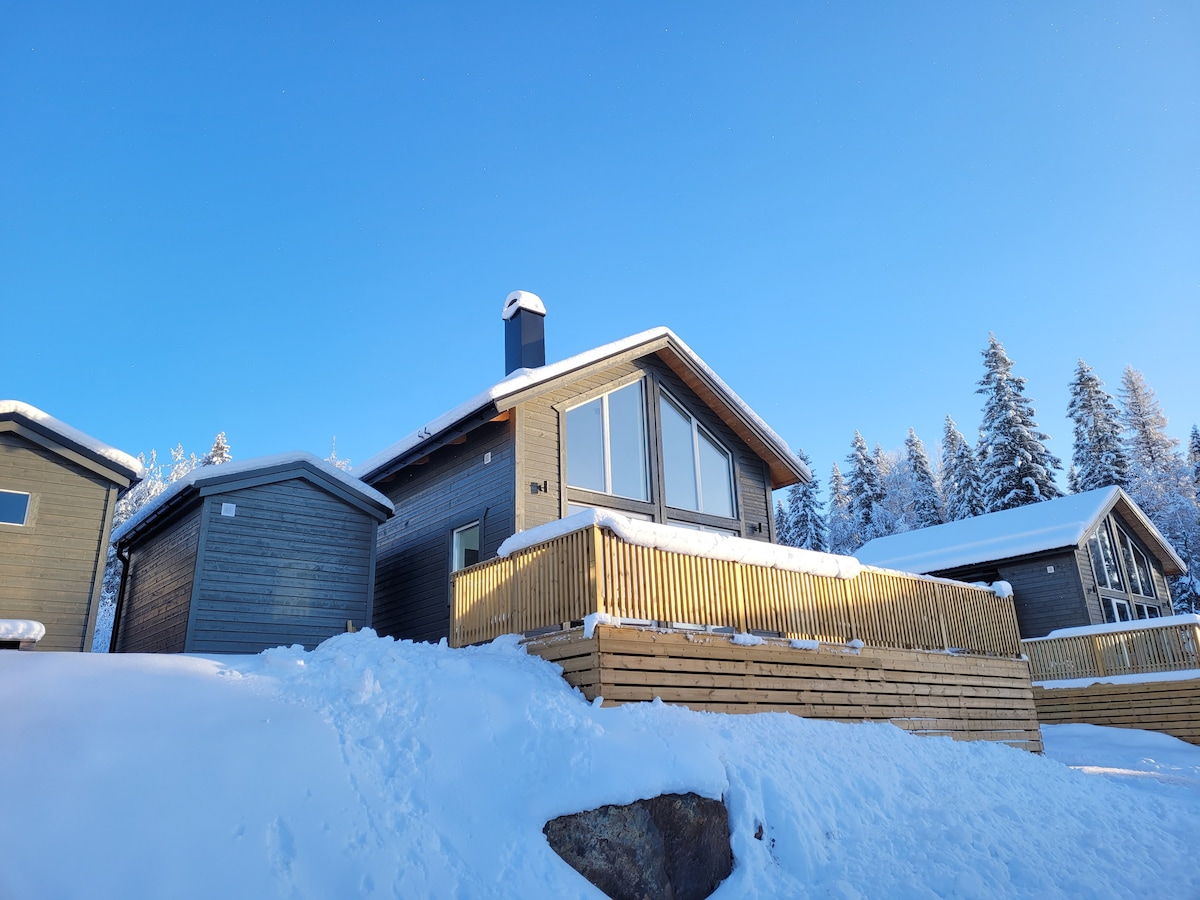 A modern cabin sits elevated amidst a snowy landscape, featuring a large deck with wooden railings. The structure showcases expansive windows, reflecting the clear blue sky, while snow blankets the ground and surrounds the cabin.
