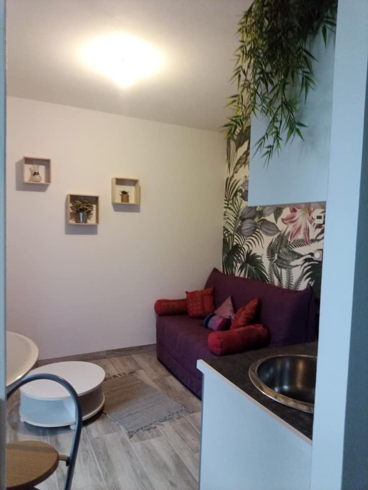 Studette Dans Maison Au Calme - Bias
