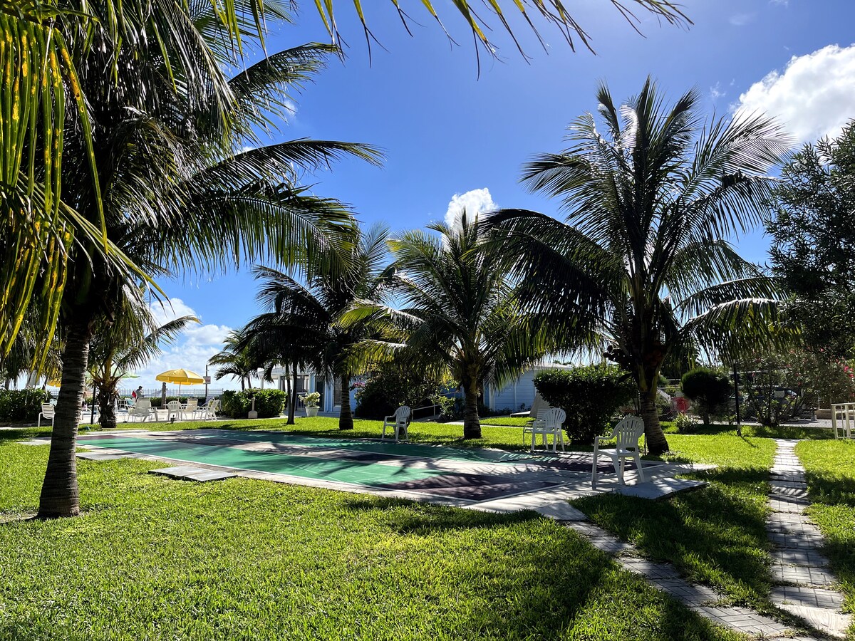 A serene outdoor space is divided by a paved pathway, leading to a tranquil pool surrounded by lush green grass. Tall palm trees provide shade, and white lounge chairs are positioned around the pool area. A bright blue sky features scattered clouds.
