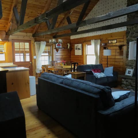 Successful Airbnb property: Log Home Leisure in Finger Lakes