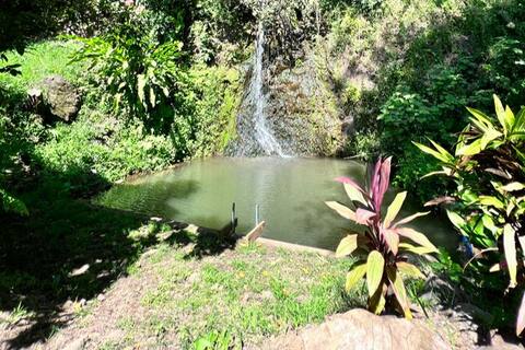 Nature oasis and private waterfall