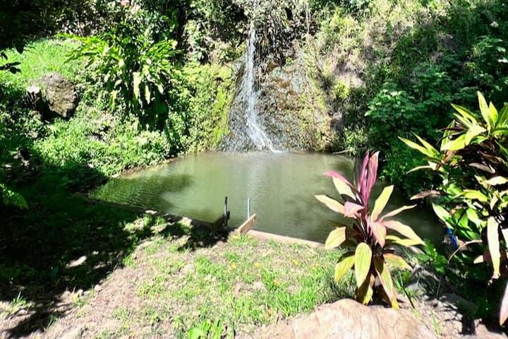 Nature oasis and private waterfall