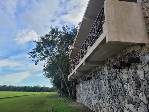 El rey Polo suite 2