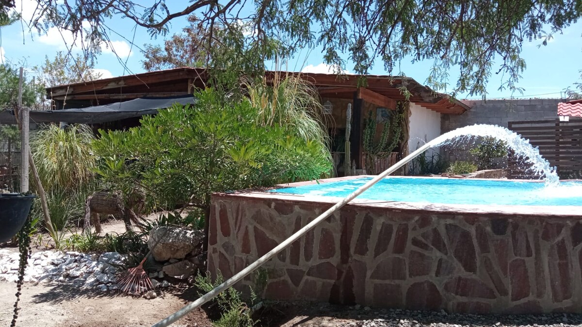 A tranquil outdoor space is showcased, featuring a small pool with water gently flowing from a hose. Lush greenery surrounds the area, including various plants and trees. A shaded seating area is visible in the background, inviting relaxation in a serene environment.