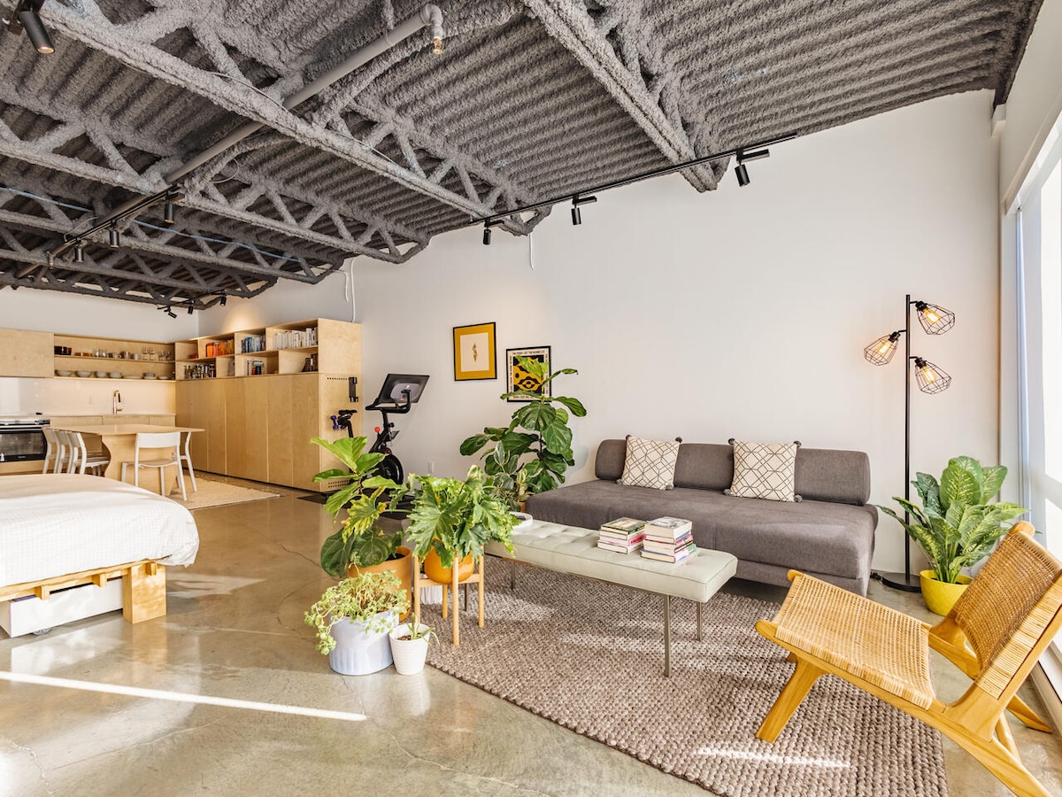 A spacious studio is depicted with industrial-style features, including exposed ceilings and polished concrete floors. A gray couch and wooden armchair are surrounded by potted plants. A light-filled kitchen area is visible in the background with wooden cabinetry and a small dining space.