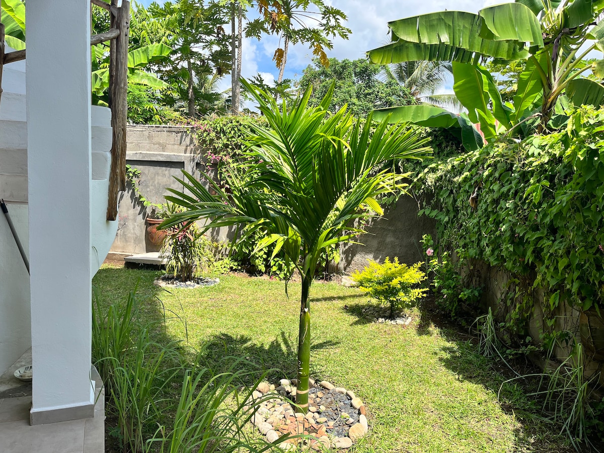 A verdant garden area is presented, featuring a central palm tree surrounded by lush green grass and various plantings. Bordering plants provide natural privacy, while a stone path leads through the garden, inviting relaxation in a serene outdoor setting.