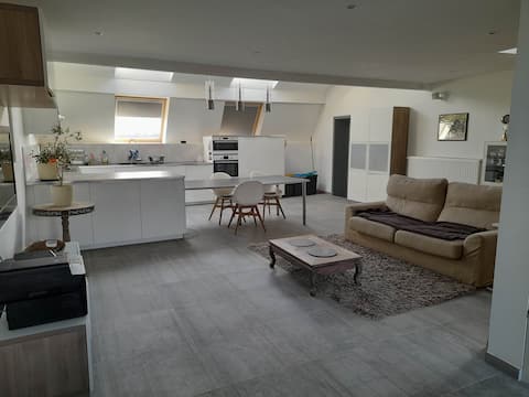 Very large bright and quiet apartment