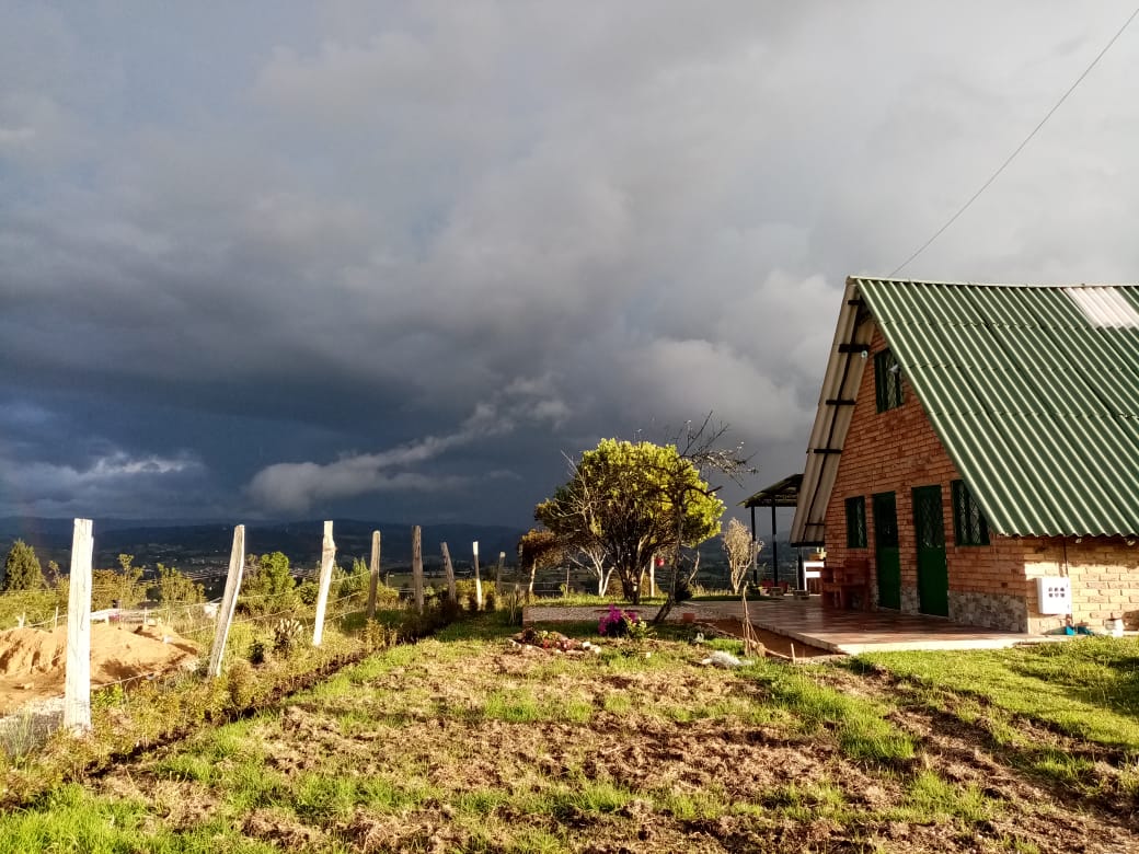 A cozy cabin with a green metal roof is set against a dramatic sky, showcasing an expansive grassy area in the foreground. Surrounding trees and a small garden area are visible, adding to the natural ambiance of the location.