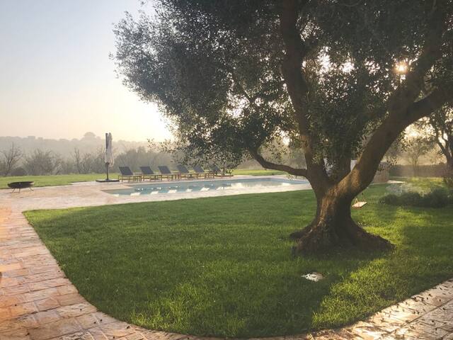 Trullo dei Pini gallery image 4