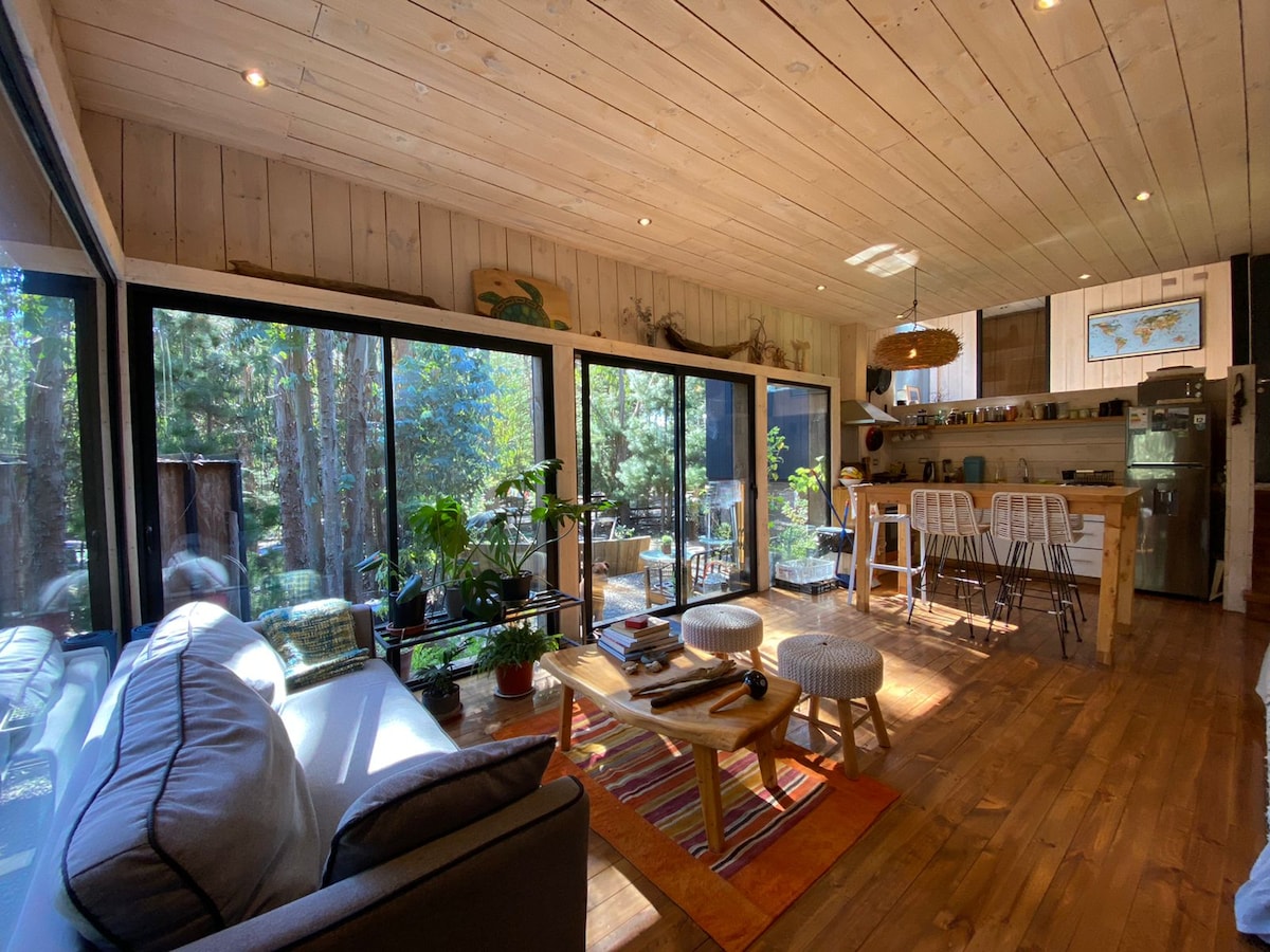 A bright living area features large windows allowing natural light to fill the space. A comfortable sofa is positioned near a coffee table, surrounded by indoor plants. The kitchen area includes wooden cabinetry and bar stools, creating a welcoming atmosphere.