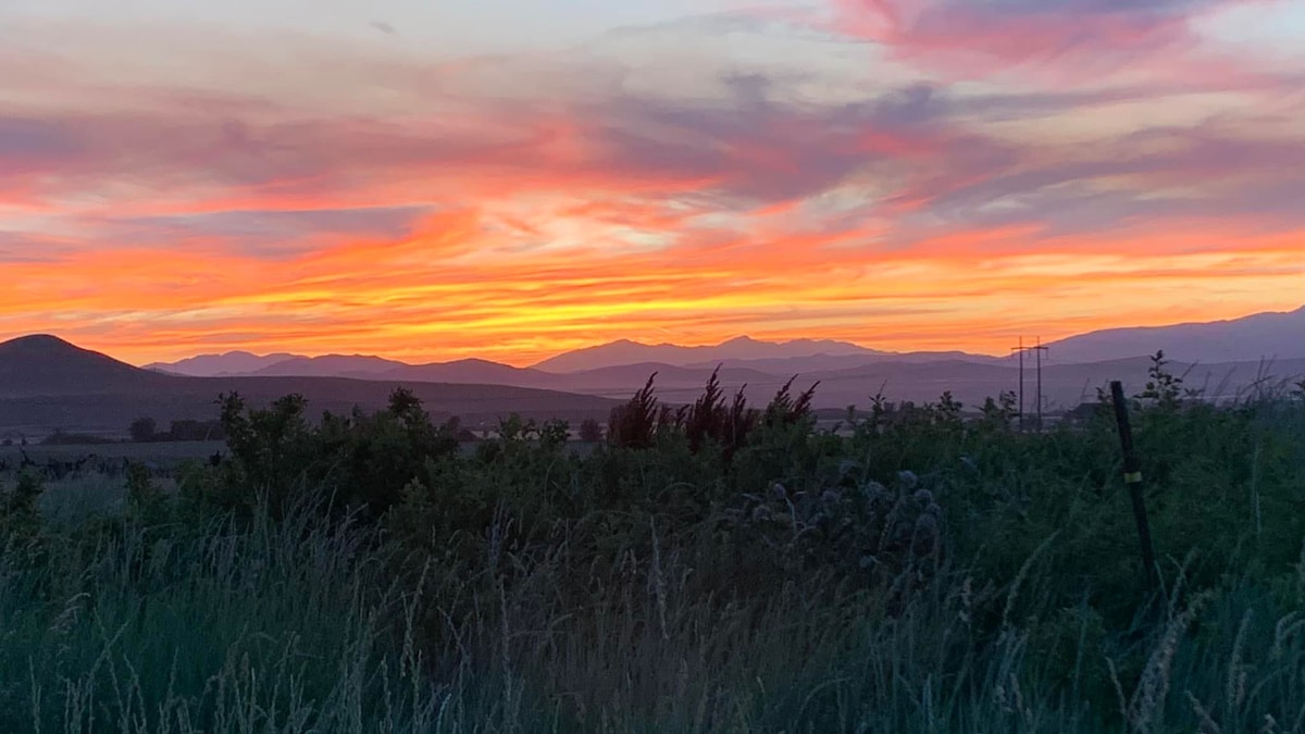 A vibrant sunset paints the sky in hues of orange, pink, and purple, casting a serene ambiance over distant mountains. Tall grasses and plants are silhouetted in the foreground, creating a natural frame that enhances the scene's tranquility.
