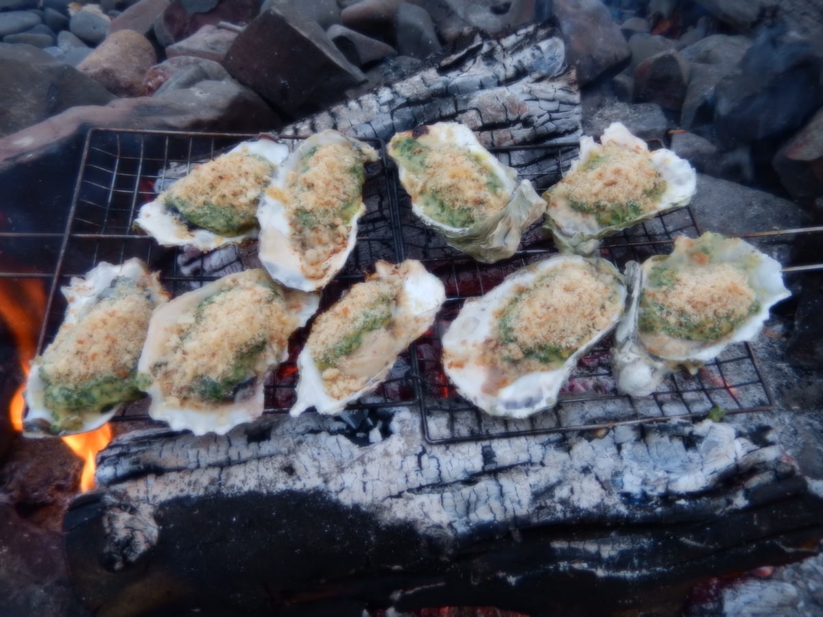 A grill sits over an open fire, showcasing several oysters topped with a golden-brown breadcrumb mixture. The oysters are in their shells and arranged evenly on the grill, with glowing embers and stones surrounding the cooking area.
