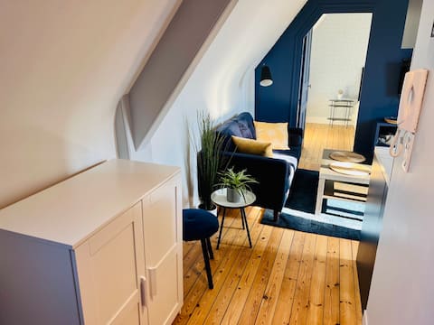 Successful Airbnb property: Apartment Rouen Jardin des Plantes in Rouen