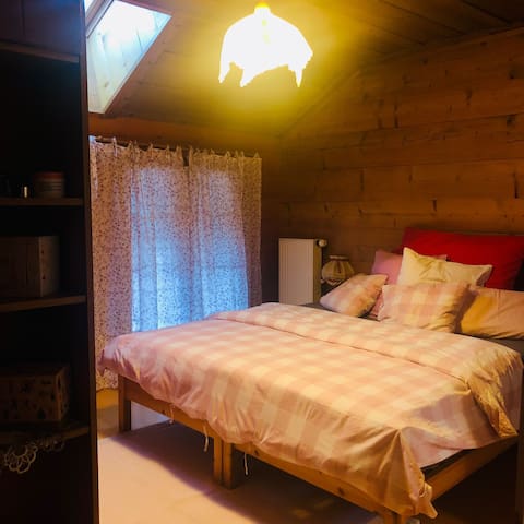 Grand appartement aux Diablerets