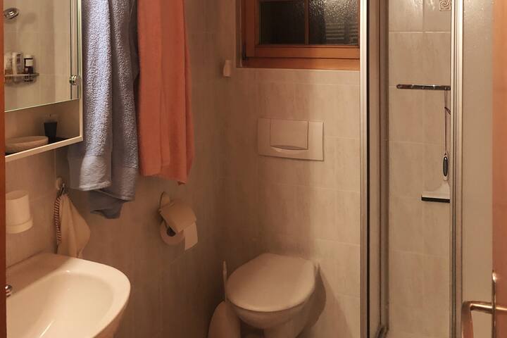 Grand appartement aux Diablerets gallery image 5