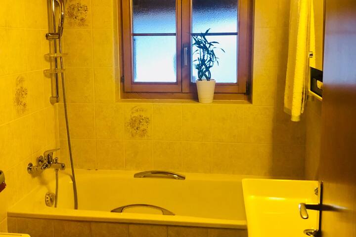 Grand appartement aux Diablerets gallery image 4