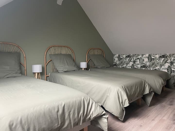 საძინებელი „ჯუნგლები“ - იატაკი - 3 ერთადგილიანი საერთო საცხოვრებელი (80 × 190)