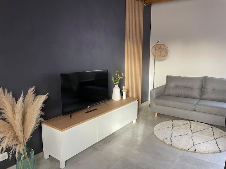 Მისაღები ოთახი გასაშლელი დივნით (2 საწოლი)