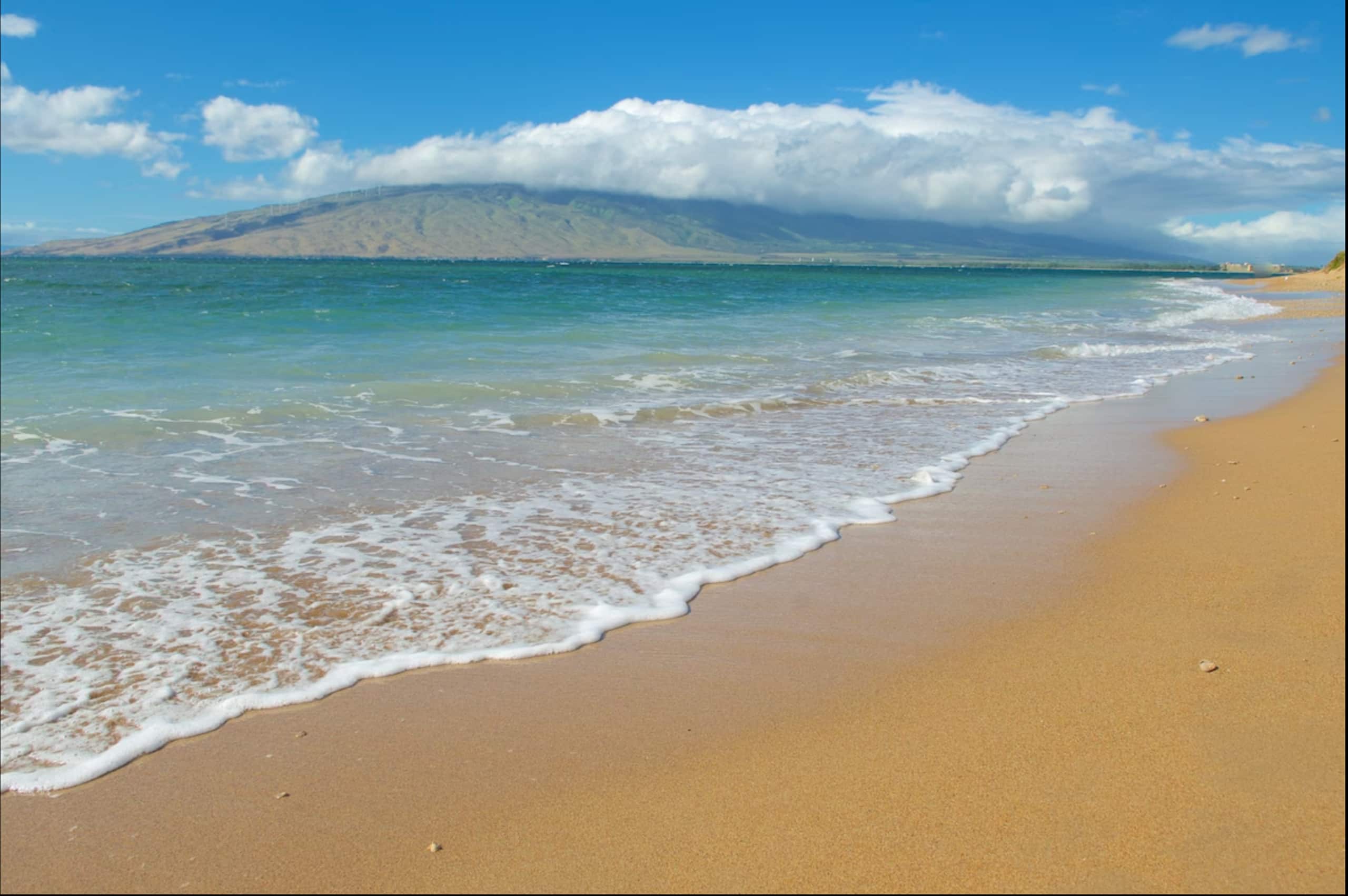 Stunning 2BD/2BA Oceanfront Condo - Image 37