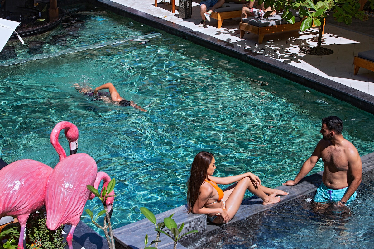 An inviting pool area is visible, featuring clear blue water surrounded by comfortable lounge chairs. Two guests interact near the water's edge while another guest swims in the pool. Tropical plants and decorative flamingo sculptures enhance the relaxing atmosphere.