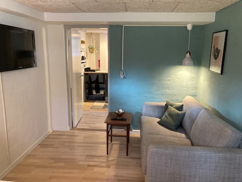 Successful Airbnb property: Cozy basement apartment close to Aarhus C in Åby