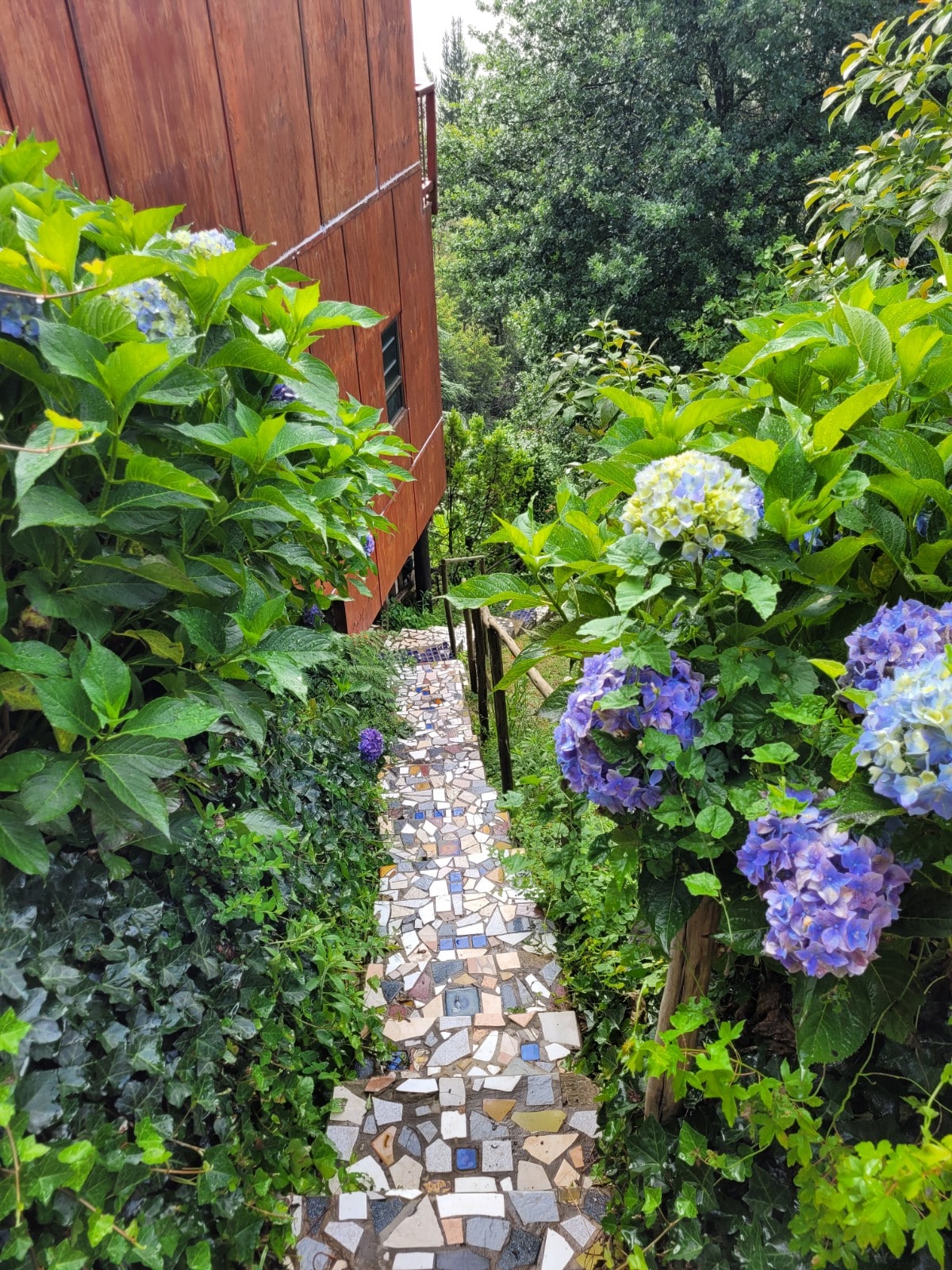 The pathway is lined with lush greenery and vibrant blue and purple hydrangeas, leading towards a wooden structure nestled among trees. The mosaic stones create a charming ascent, inviting guests to explore the natural surroundings of the property.