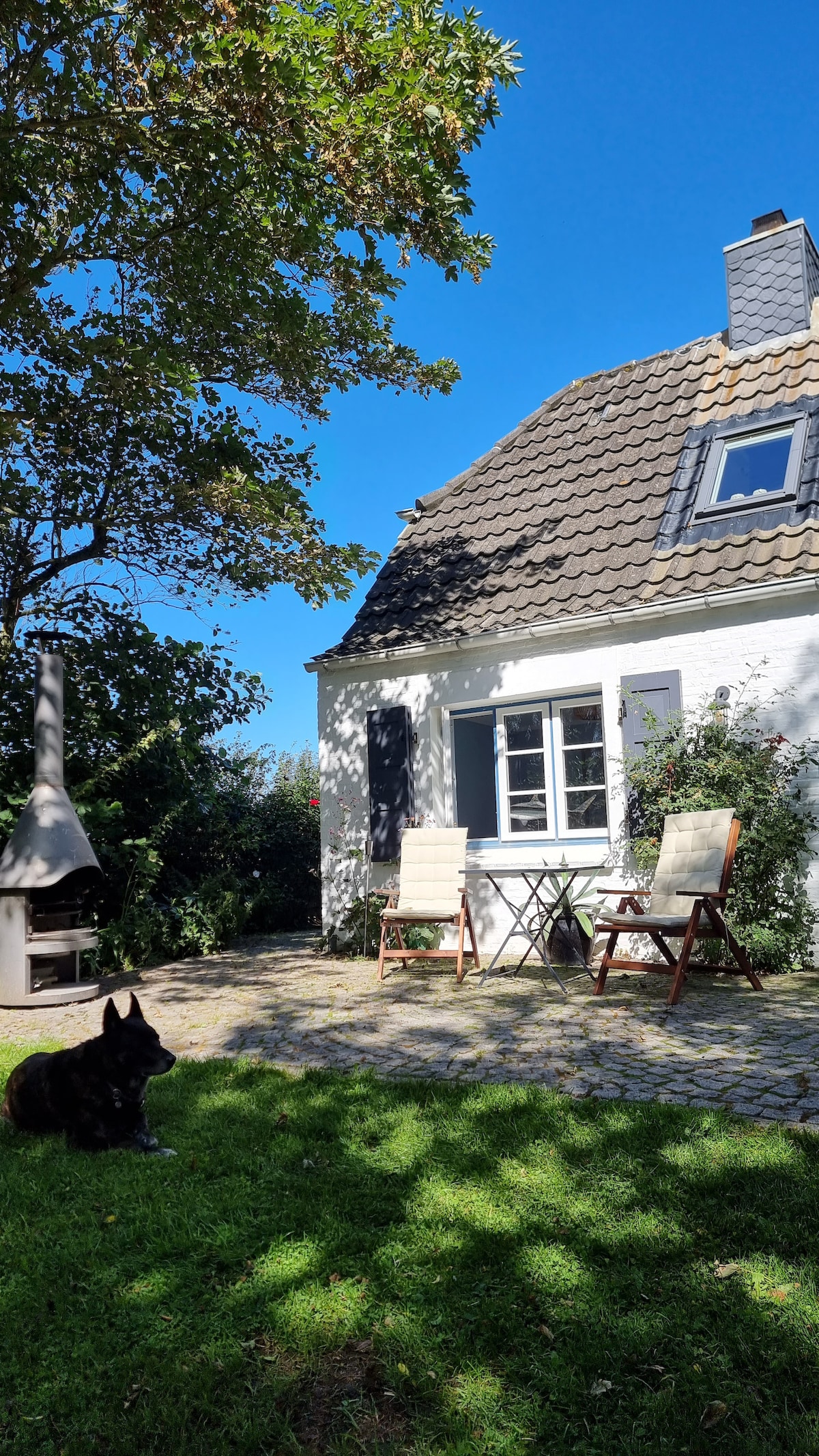 The exterior of the house is presented with a charming, white façade and a sloped roof. A small patio area is featured in front, furnished with two wooden chairs and a table. A dog rests comfortably on the grassy lawn, while trees provide dappled shade under the clear blue sky.
