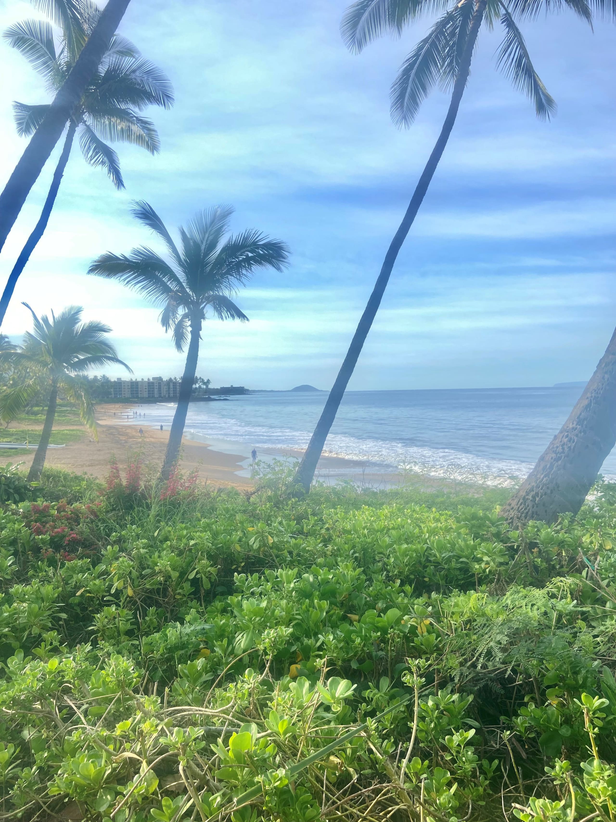 Condo in Kihei · ★4.75 · 2 bedrooms · 2 beds · 1 bath - Image 28
