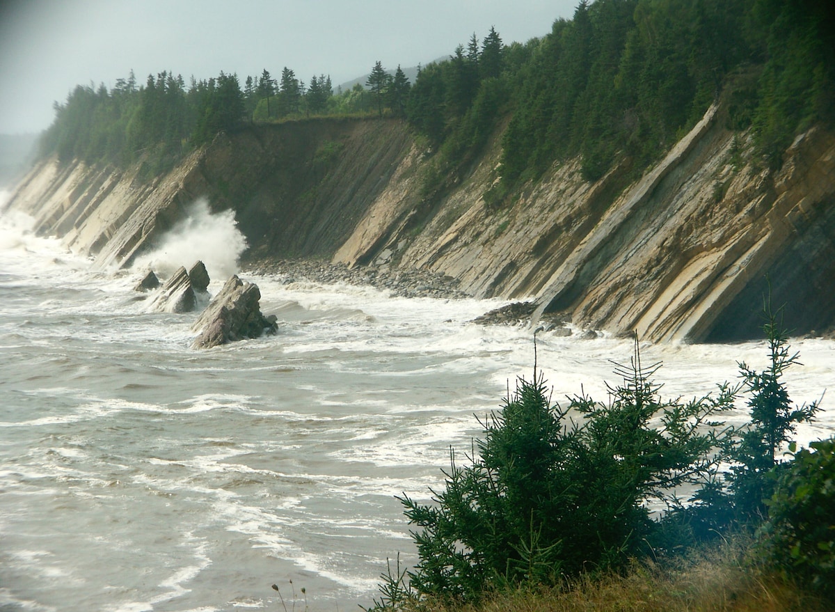 The image captures a rugged coastline where waves crash against steep, rocky cliffs. Lush greenery is visible in the foreground, complementing the sandy shoreline and turbulent ocean. The scene reflects a natural landscape with dynamic elements of water and land.
