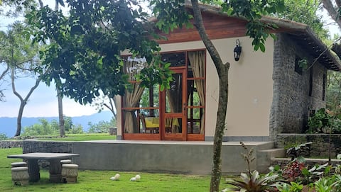 The Guayacán - The Cabin