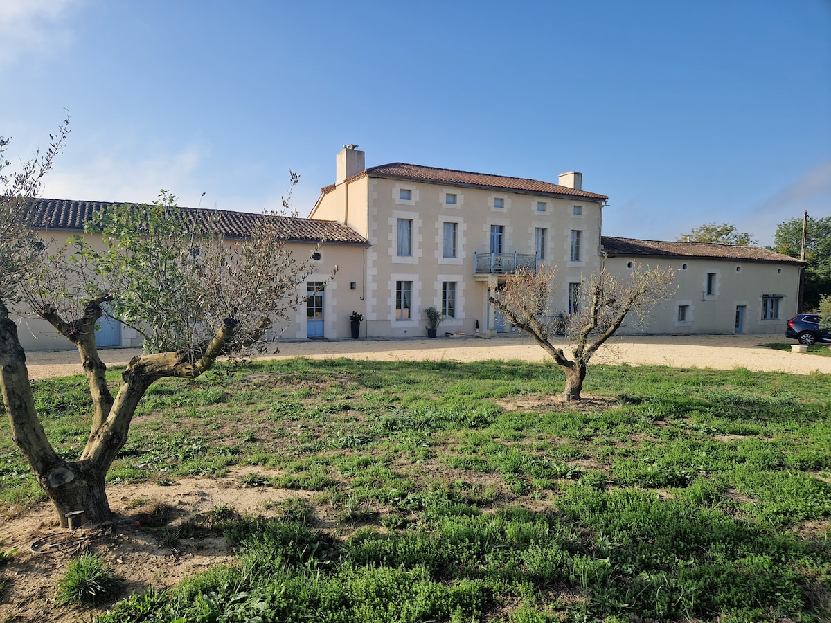 A spacious exterior view of the charming house is presented, featuring light-colored walls and a terracotta-tiled roof. The surrounding area showcases well-maintained green grass and olive trees, with a gravel driveway leading to the entrance. Clear blue skies enhance the inviting atmosphere of the property.